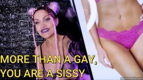 MORE THAN A GAY, YOU'RE A SISSY