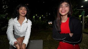 public pickup - we met her in a park and made her join a threesome