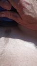 Masturbating in car