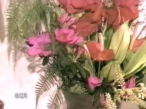 Uma festa suspeita.