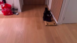 A beautiful cleaning lady in leggings agrees to sex for money.