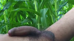 Worldwide Viral Desi Hunk Solo Action Vol 10 - Premium Faceless Amateur Close-up Intense Stroking Masterclass 4K