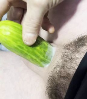 Micro penis versus one fat pickle