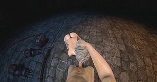 The Fire Keeper Tends To The Ashen One (A XXX Parody)