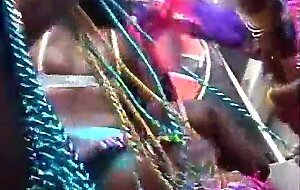 Miami vices carnival 2006 vii