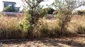 Trainer's Command No. 46: Wear Briefs and Pee in Your Anal Canal