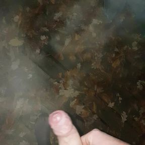 Ruined orgasm in the park