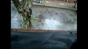 lluvia en la ventana.MPG