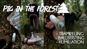 Pig in the Forest: Trampling, Ballbusting, Humiliation, Spit Fetish