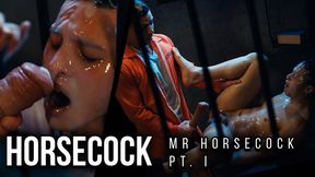 MR. HORSECOCK PT. 1