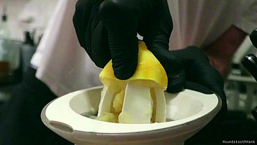 Gloved Food Prep ASMR Lemon Garlic and Thyme