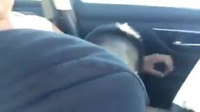 Public Blowjob Fun: Outdoor Handjob and Masturbation 3