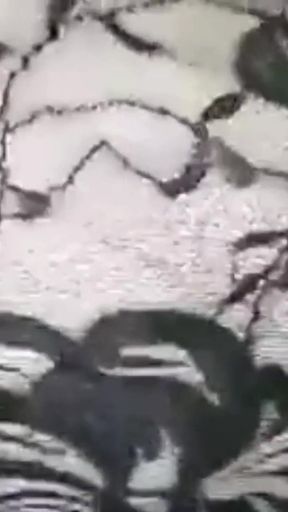 Squeezing My Big Boobs BBC Missionary Pounding