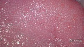 The surface of flavors1