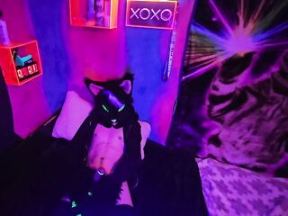 Alleycat paws off with fresh toy