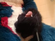 Short Fursuit Jackoff