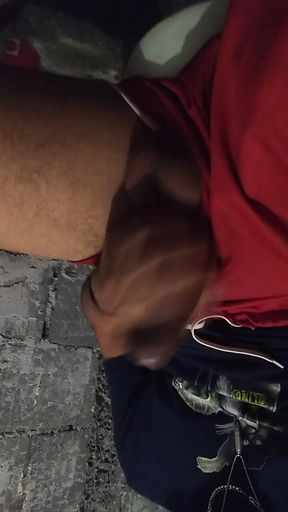 I Was in the Bathroom When It Happened