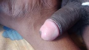 Black cock