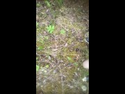 Pissing on the street in public