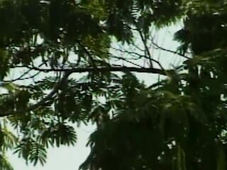 Heiße Outdoor-Leidenschaft