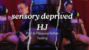 Sensory Deprived HJ and Reflex Testing My beta Bitch