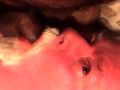 Daddy sucking  cub