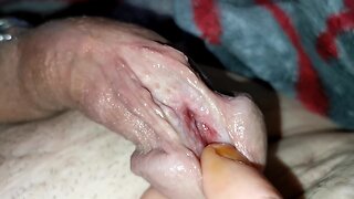 Split acorn