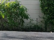 hotel nut outside