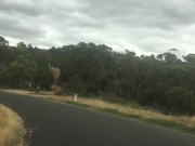 Fancy a dip with me? I guarantee You will enjoy it- Manlyfoot Roadtrip