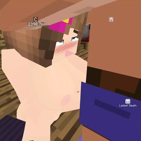 Minecraft The Jenny Mod Fucking Jenny in the pussy and getting a blowjob