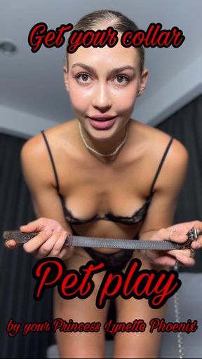 Get your collar. Pet play by your Princess Lynette Phoenix