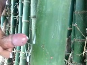 Indian boy cumming on bamboo,Handjob Cumshot