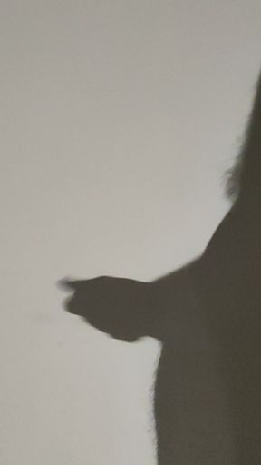 Shadow play