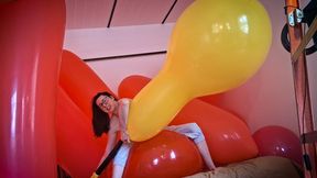 137 - Blow to Pop Cattex Longneck