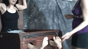 Tickle shorts 269-1080