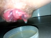I was breeding by 2 Nepalese and felt so good and satisfied
