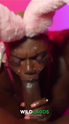 A Creamy Halloween with Wildlagos