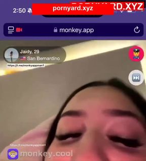 Monkey app