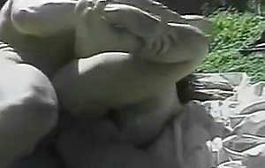 Nice tranny banged outdoor