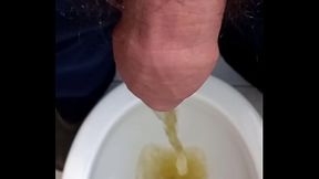 Mijo