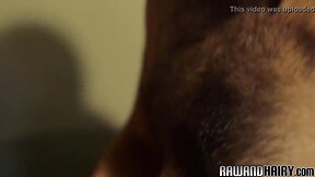 Bearded wolf slamming tight butt-hole