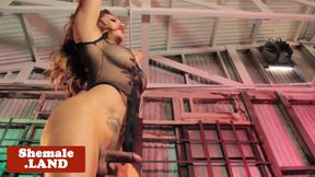 Curvy amateur tgirl enjoys wanking her cock