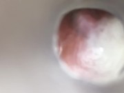Fleshlight Internal Quickie