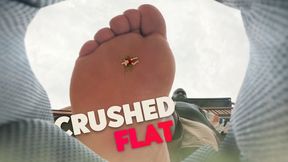 Giant Stomps You Flat! NO MERCY