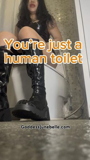 You’re just a human toilet