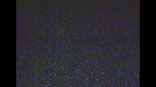 I bumped into a family VHS tape and found my parents were fucking hot!!