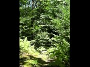 Android outdoors in the forets