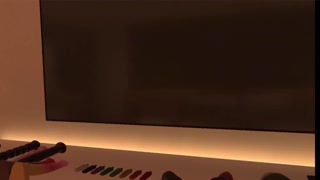 Juno Plays Anthro Heat in VR Part 1