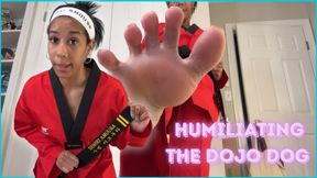 Destroying My Dojo Dog