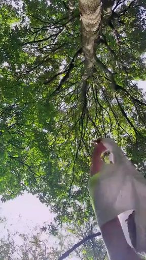 Slutboyben Cam4 Sexy Cruising Chick Iii Live Outdoor Exposure